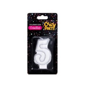 Candles birthday single number-5 slv