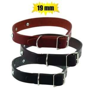 Pet dog-collar leather rivetted 19mm