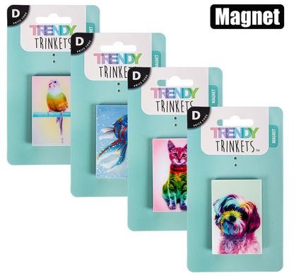 Magnet pets asstd
