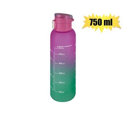 Water bottle 750ml painted